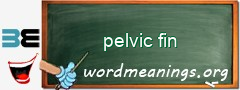 WordMeaning blackboard for pelvic fin